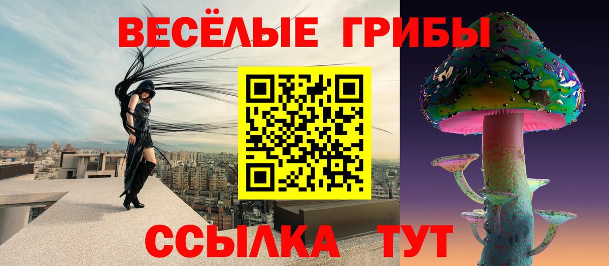 Псков  Псилоцибиновые грибы прущие грибы  Вход с VPN 